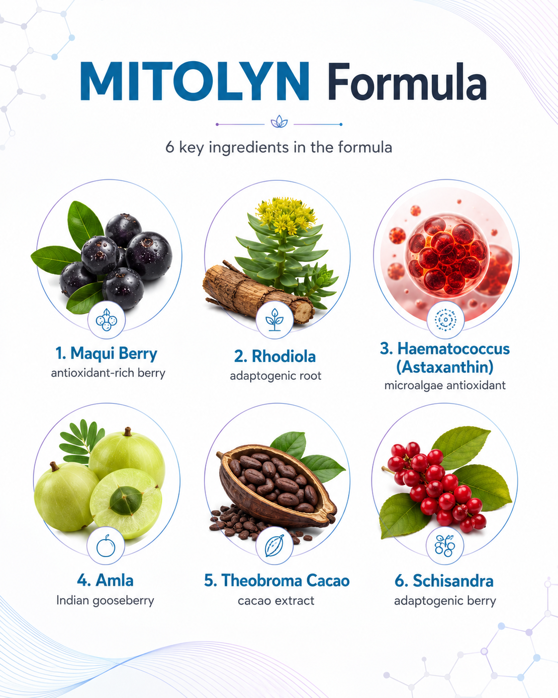 Mitolyn dietary supplement review